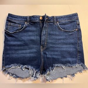 High Waisted Raw Hem Denim Shorts